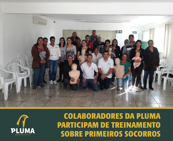 Colaboradores da Pluma participam de treinamento sobre primeiros socorros